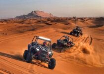 Self Drive Desert Safari Dubai for adventure seekers