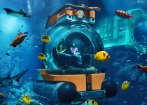 Seaworld Abu Dhabi – Highlights, Tickets and Timings (2025)