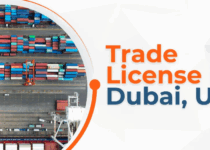 How to Check Trade License Online UAE – A 2025 Guide
