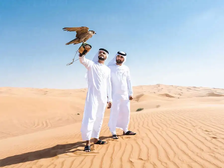 Photography with Falcon